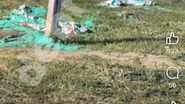 Imagine de la locul accidentului din Vișani
