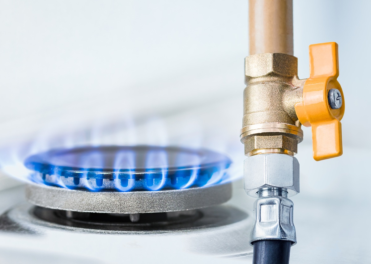 Ministrul energiei prezentând grafice despre creșterea facturilor gaze și vouchere energie pentru consumatorii vulnerabili în 2026. | sursa foto: WowBiz