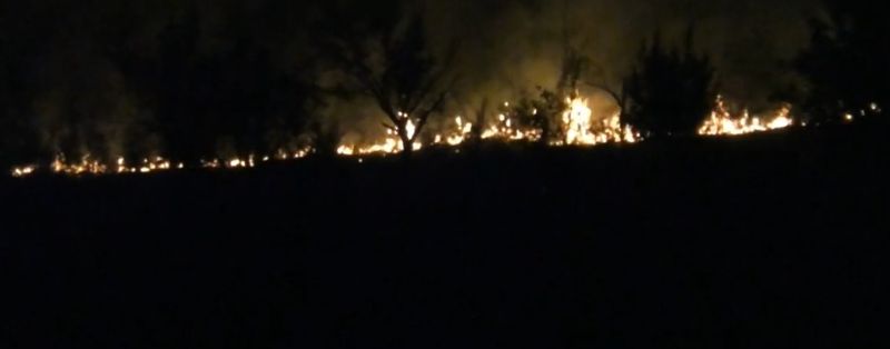 Incendii de vegetație în țară 