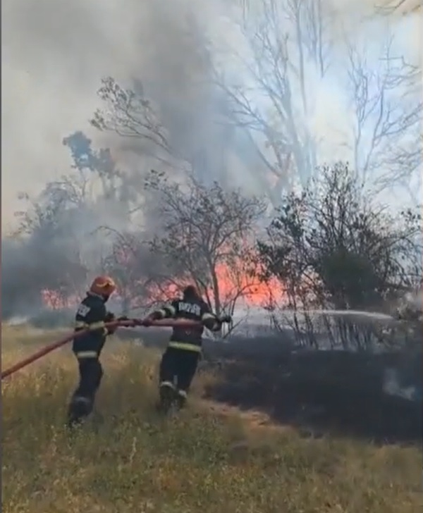 Incendii de vegetație în țară 
