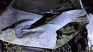Imagini de la locul accidentului