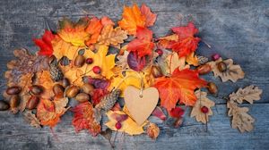 Pe ce dată este echinocțiul de toamnă în 2025. Fenomenul astronomic marchează trecerea la anotimpul rece