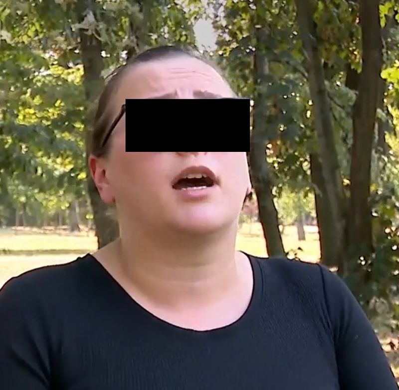 Directoarea creșei