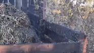 Curtea Ioanei Ginghină, afectată de flăcări