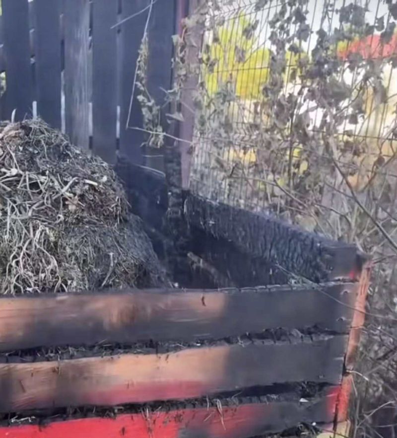 Curtea Ioanei Ginghină, afectată de flăcări