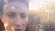Curtea Ioanei Ginghină, afectată de flăcări