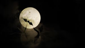 Fazele Lunii Octombrie 2025. Ce fenomene astronomice vor mai avea loc până la finalul anului