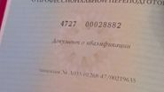 vica blochina numerolog