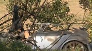 accident tesla germania