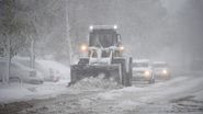 ninge in romania