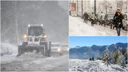 ninge in romania