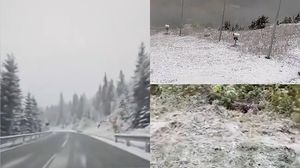 Prima zăpadă din acest sezon