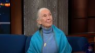 Jane Goodall