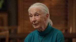 Jane Goodall
