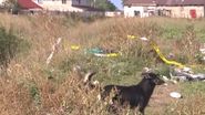 Imagini de la locul tragediei