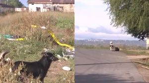 Imagini de la locul tragediei