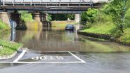 inundatie