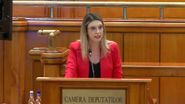 Diana Buzoianu