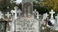 inmormantare marinela chelaru
