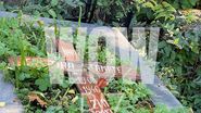 morminte artisti cimitirul bellu