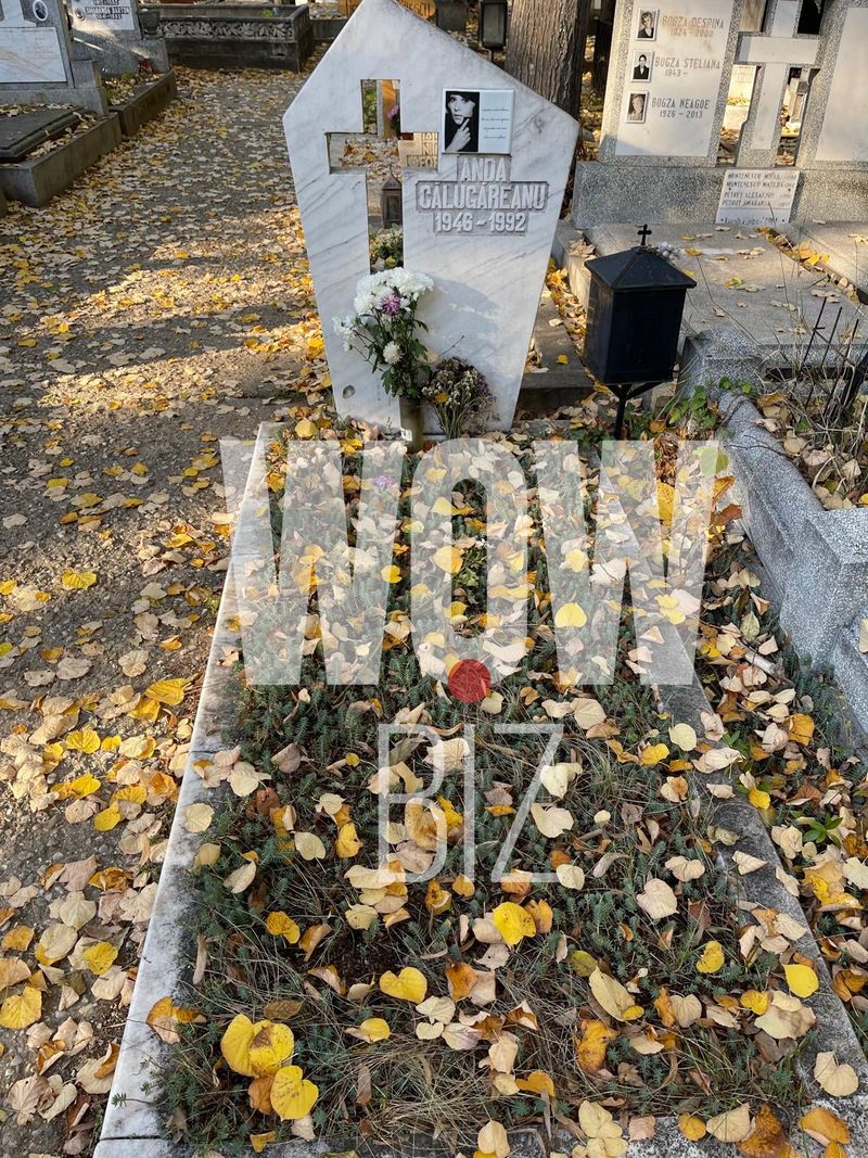 morminte artisti cimitirul bellu