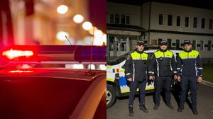 Cei trei polițiști  Cei trei polițiști