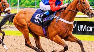 Sportiv mort la doar 19 ani! Jocheul Tommie Jakes a fost găsit fără suflare, imediat după o cursă: „Suntem îndurerați”