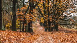 Cum va fi vremea în luna noiembrie în România? Meteorologii au actualizat prognoza meteo și spun ce urmează după valul de căldură