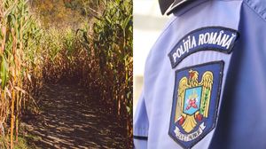 Imagine cu caracter ilustrativ