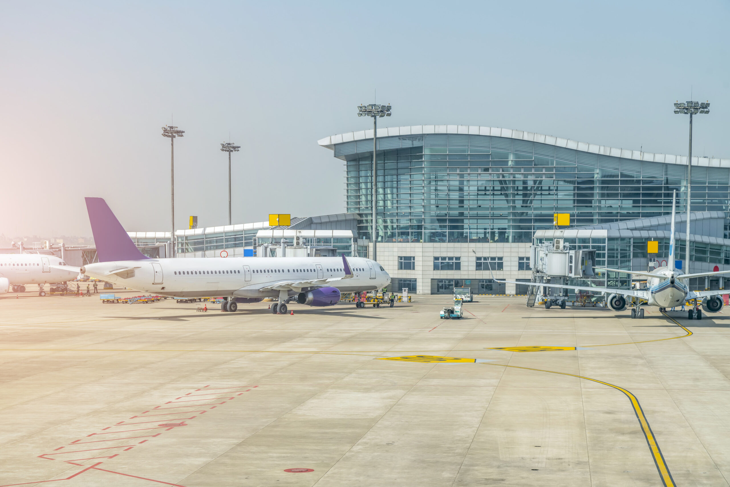 Avion cu 170 de pasageri la bord, aterizare de urgență la Otopeni, după ce a lovit o pasăre