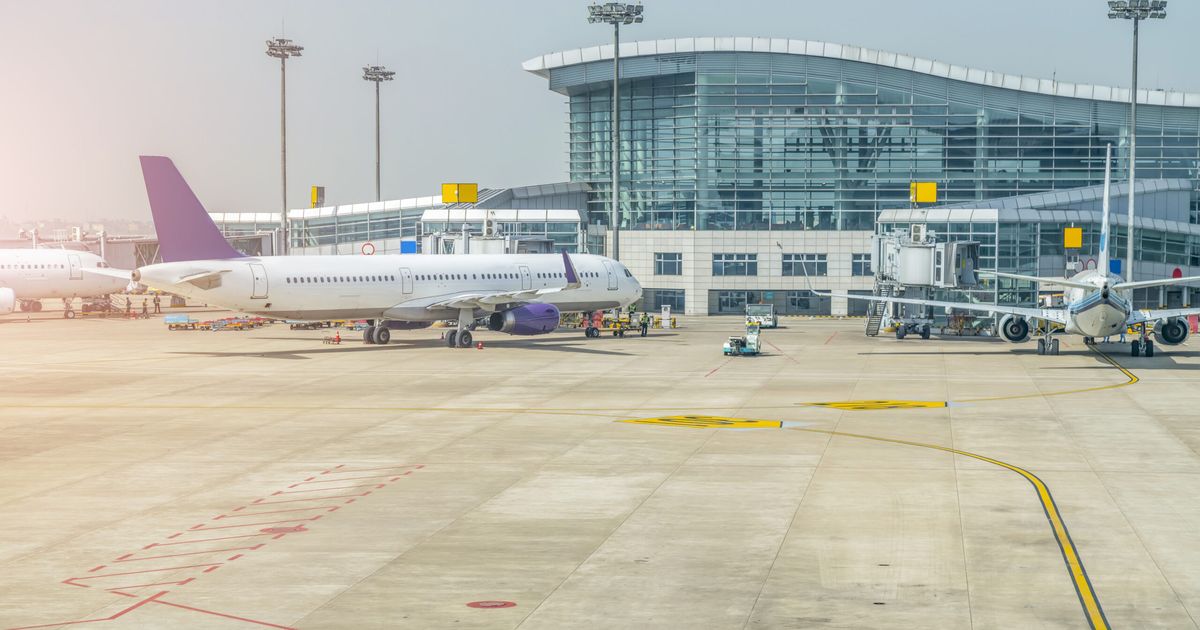 PANICĂ TOTALĂ ÎN AER! Avion cu 170 de oameni la bord, lovit de o pasăre! Aterizare de urgență la Otopeni: „Am crezut că ne prăbușim!” PANICĂ TOTALĂ ÎN AER! Avion cu 170 de oameni la bord, lovit de o pasăre! Aterizare de urgență la Otopeni: „Am crezut că ne prăbușim!”