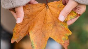 Vremea până la finalul săptămânii