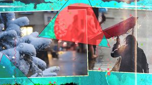 Se schimbă vremea radical în România! Vin ploile și ninsorile. Care sunt zonele vizate