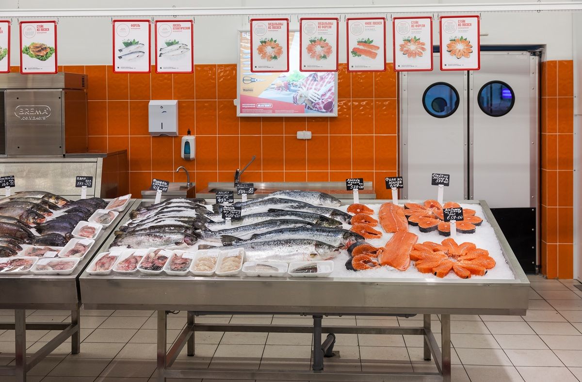 Alertă alimenară în România! Somon contaminat retras de pe rafturi. Tudor Ciuhodaru avertizează: „Listeria este a treia cauză de deces din cauza bolilor alimentare în Statele Unite”. Ce este bacteria Listeria | EXCLUSIV