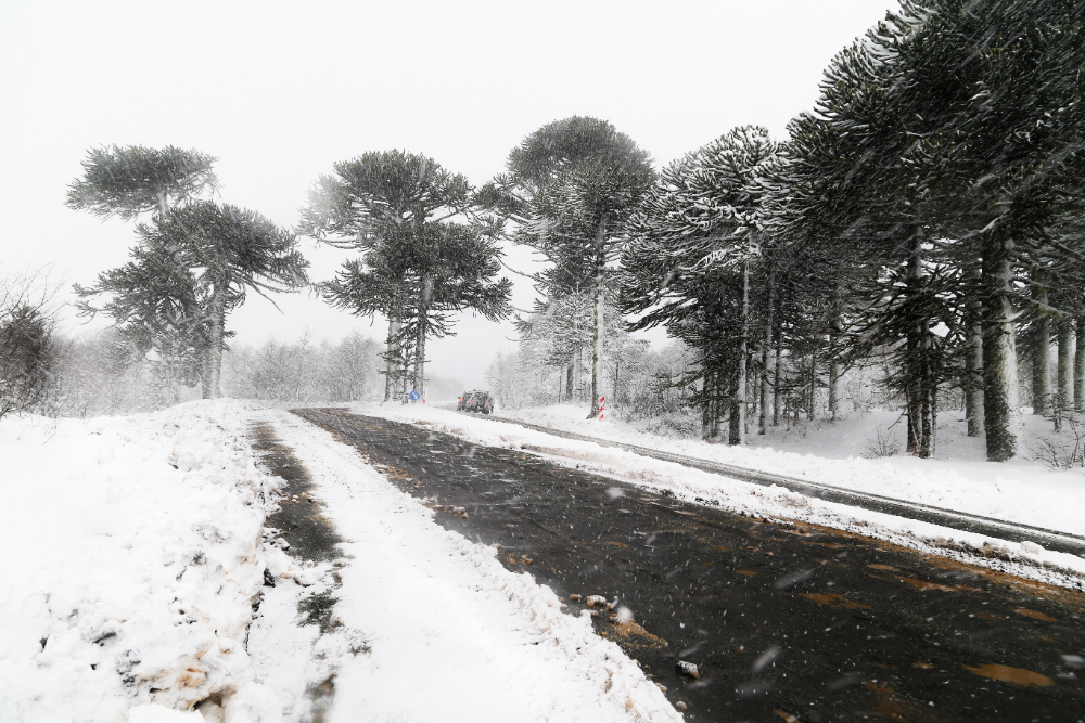 Super El Niño lovește Europa. Meteorologii avertizează că va fi o iarnă atipică în România: „Va fi fără precedent”