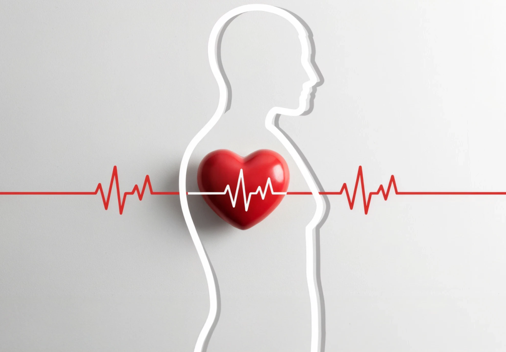 (P) Susținerea naturală a inimii la vârstnici: Ce recomandă specialiștii pentru menținerea tensiunii arteriale