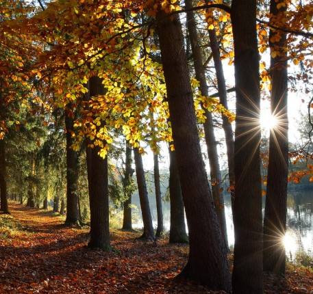 Toamna începe cu temperaturi de vară în toată țara
