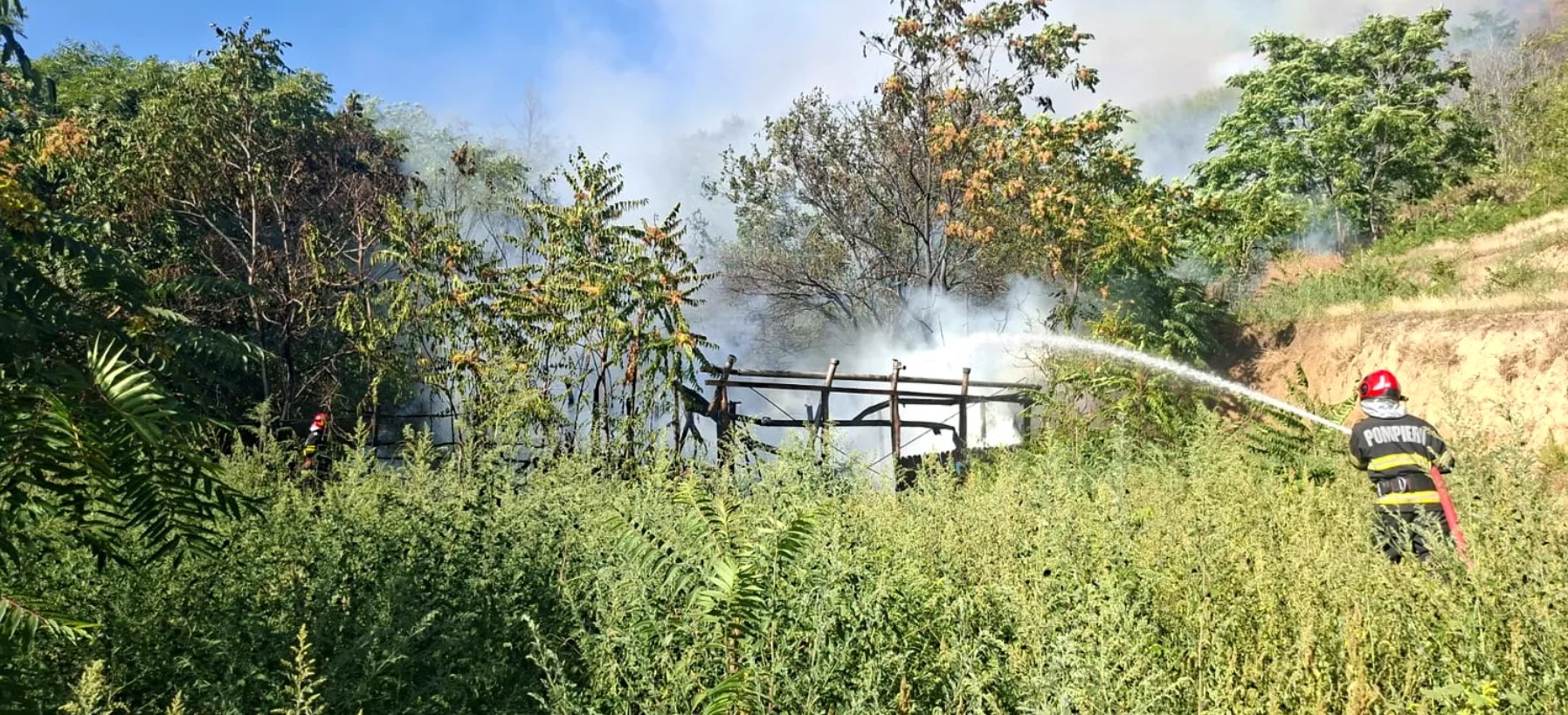 Alertă în județul Tulcea! Un incendiu de vegetație amenință pădurea și locuințele. Pompierii intervin de urgență