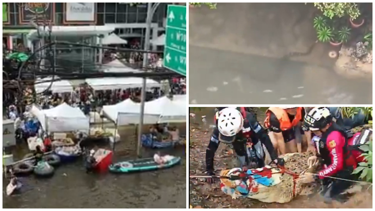 Inundații devastatoare în Thailanda. Bangkok, declarat zonă de dezastru după ploile torențiale. Șerpii și crocodilii au ajuns în apele care au înghițit străzile