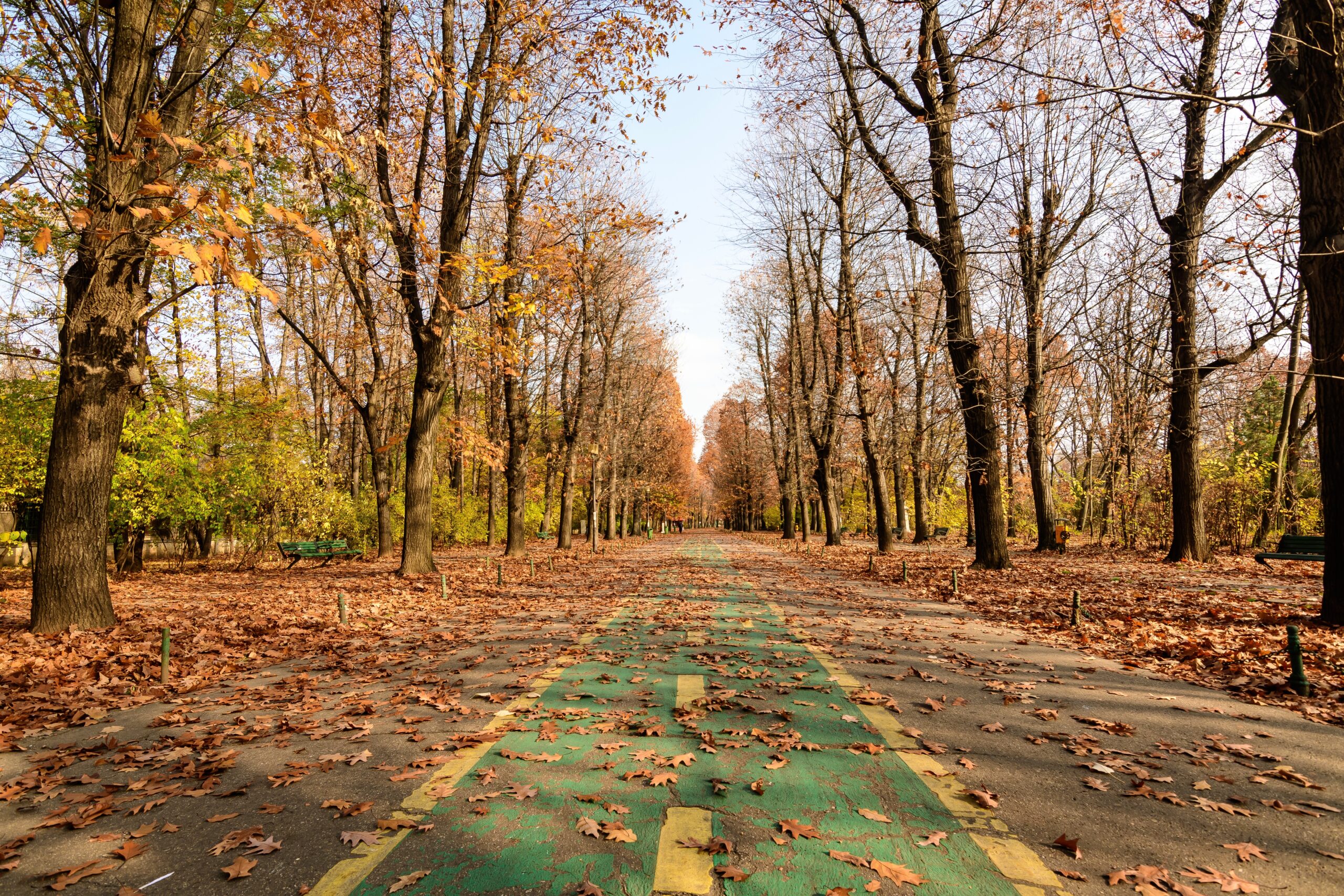 Ce temperaturi ne așteaptă până la jumătatea lunii noiembrie Prognoza meteo actualizată de ANM