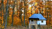 Casa Vladestilor arata identic cu cea de pe hartia de 10 lei