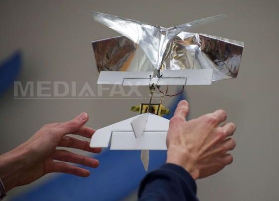 VIDEO Cum arată DelFly Explorer, cea mai mică 