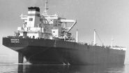Vasul "Biruinta" a fost construit in 1984