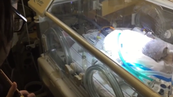 VIDEO Un tata disperat i-a cantat bebelusului aflat pe moarte! Ce s-a intamplat dupa patru zile