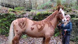 Toti crescatorii de cai din Marea Britanie merg la ea! Uite ce frumos ii tunde! Asa ceva e absolut MAGIC! novalue