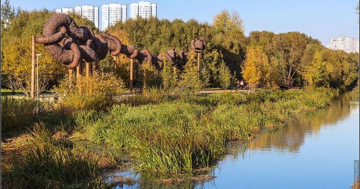Aparitie Bizara In Parc Toti S au Mirat De Aceasta capodopera De Arta 