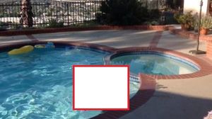 VIDEO Au vrut sa iasa afara la piscina, dar cand s-au uitat pe geam le-a stat inima! Uite ce se balacea in curtea lor! novalue