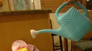 Incredibil ce a putut face aceasta mama! Cum sa-i faci asa ceva copilului tau? novalue