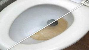 A turnat o ceasca de borax in rezervorul vasului de toaleta. Rezultatul este uimitor novalue