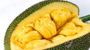 Jackfruit este un substitutul al carnii. "Fructul miracol" al anului 2017